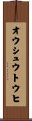 オウシュウトウヒ Scroll