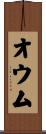 オウム Scroll