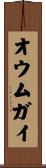 オウムガイ Scroll