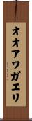 オオアワガエリ Scroll