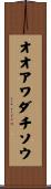 オオアワダチソウ Scroll