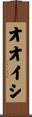 オオイシ Scroll