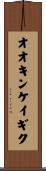 オオキンケイギク Scroll
