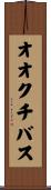 オオクチバス Scroll