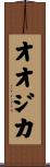オオジカ Scroll