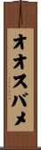 オオスバメ Scroll