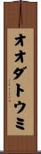 オオダトウミ Scroll