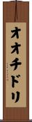 オオチドリ Scroll