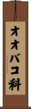 オオバコ科 Scroll