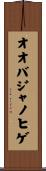 オオバジャノヒゲ Scroll