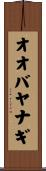 オオバヤナギ Scroll