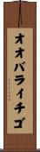 オオバライチゴ Scroll