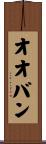 オオバン Scroll