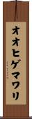 オオヒゲマワリ Scroll
