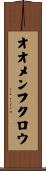 オオメンフクロウ Scroll