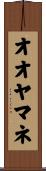 オオヤマネ Scroll