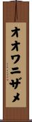 オオワニザメ Scroll