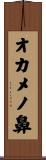 オカメノ鼻 Scroll