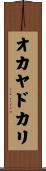オカヤドカリ Scroll