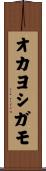 オカヨシガモ Scroll