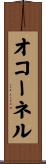 オコーネル Scroll