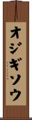 オジギソウ Scroll