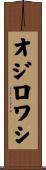 オジロワシ Scroll