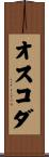 オスコダ Scroll