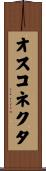 オス・コネクタ Scroll