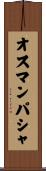 オスマンパシャ Scroll
