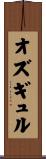 オズギュル Scroll