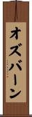 Osburn Scroll