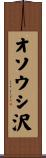 オソウシ沢 Scroll