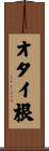 オタイ根 Scroll