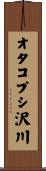 オタコプシ沢川 Scroll