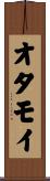 オタモイ Scroll