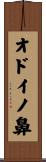 オドイノ鼻 Scroll