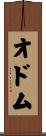 Odom Scroll