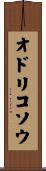 オドリコソウ Scroll