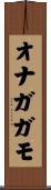 オナガガモ Scroll