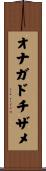 オナガドチザメ Scroll