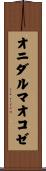 オニダルマオコゼ Scroll
