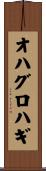 オハグロハギ Scroll