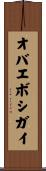 オバエボシガイ Scroll