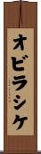 オビラシケ Scroll