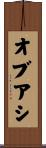 オブアシ Scroll