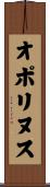 オポリヌス Scroll