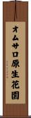 オムサロ原生花園 Scroll