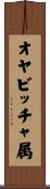 オヤビッチャ属 Scroll
