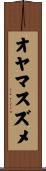 オヤマスズメ Scroll